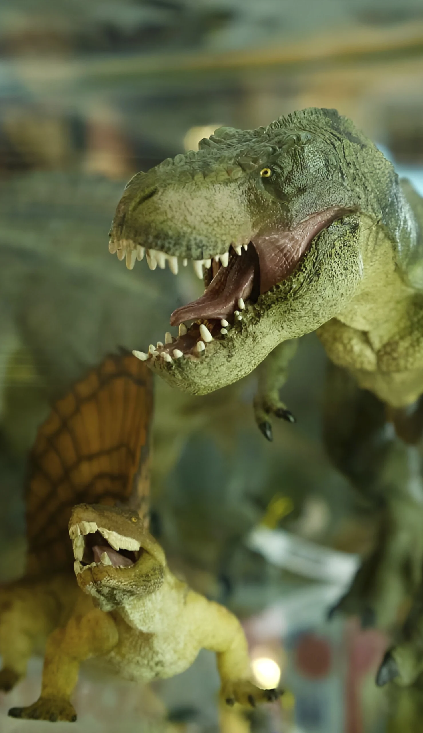 papoPortrait papoPortrait