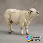 Papo Vaca Charolais Mugiendo 51158 - Imagen 2