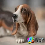Papo Basset Hound 54012 - Imagen 3