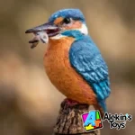 Papo Martin pescador 50246 - Imagen 5