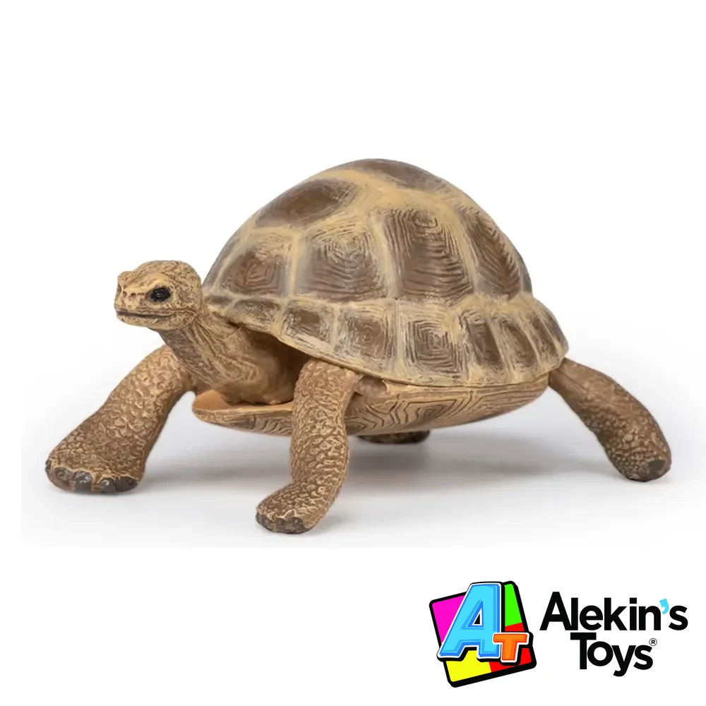 Papo Tortuga Hermanni 50264