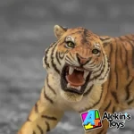 Papo Tigre rugiente 50182 - Imagen 4