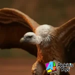 Papo Buitre 50168 - Imagen 4