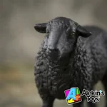 Papo Oveja Negra 51167 - Imagen 2